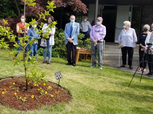 Audience members standing behind the tree and in front of the church entrance